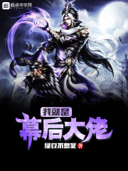 我就是幕后大佬在线阅读