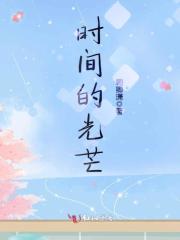 时间的光芒在线阅读