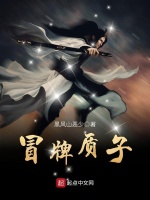 冒牌质子在线阅读