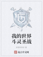 我的世界斗灵圣战