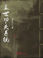 盖世功夫系统在线阅读