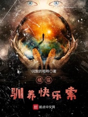 橘猫驯养快乐索（阿喵、大汪）