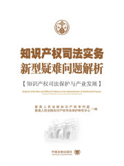 知识产权司法实务新型疑难问题解析：知识产权司法保护与产业发展