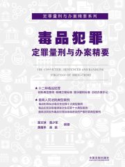 毒品犯罪定罪量刑与办案精要