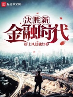决胜新金融时代在线阅读