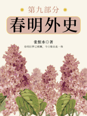 春明外史·第九部分（张恨水经典爱情故事）在线阅读
