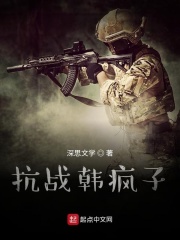 抗战韩疯子在线阅读