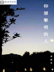 仰望黎明的人在线阅读