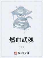 燃血武魂在线阅读