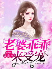 BOSS追击令：老婆乖乖来受宠