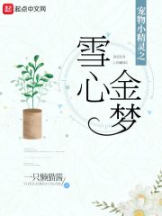 精灵之雪心金梦