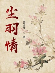 尘羽情在线阅读