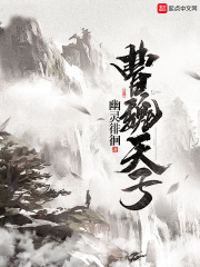 曹魏天子在线阅读