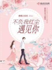 不负我红尘遇见你在线阅读