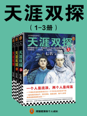 天涯双探（1-3册）在线阅读