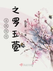 龙凤传奇之罗玉萱在线阅读