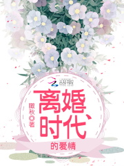 离婚时代的爱情