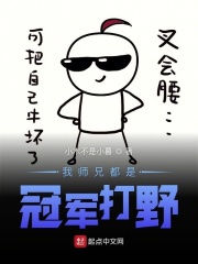 我师兄都是冠军打野在线阅读