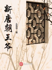 新唐朝王爷在线阅读