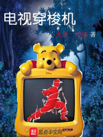 我的电视能穿越在线阅读