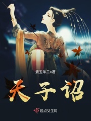 天子诏在线阅读