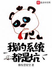我的系统叫坑