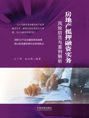 房地产抵押融资实务：风险防范与案例解析