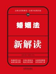 婚姻法新解读（第四版）