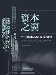 资本之翼：企业资本市场操作指引