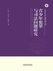 青少年犯罪与司法问题研究