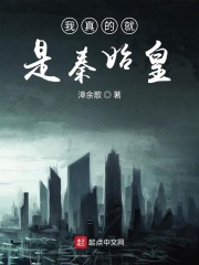 我真的就是秦始皇