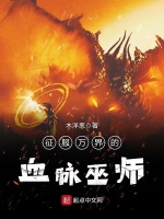 征服万界的血脉巫师封面