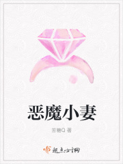 恶魔小妻在线阅读