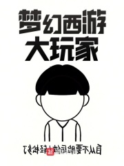 梦幻西游大玩家在线阅读