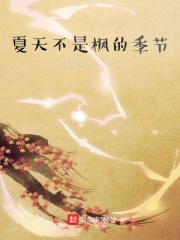 夏天不是枫的季节在线阅读