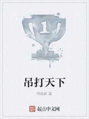 吊打天下在线阅读