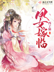 凤女嫁临在线阅读