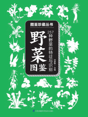 野菜图鉴（图鉴珍藏丛书）