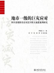 地市一级的巨灾应对：四川省绵阳市应对汶川特大地震案例研究