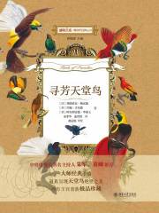 寻芳天堂鸟