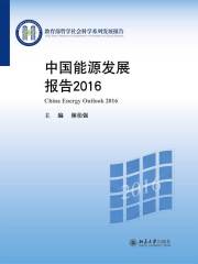 中国能源发展报告2016