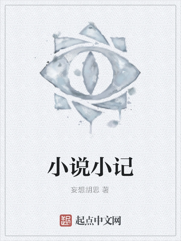 小说小记