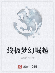 终极梦幻崛起在线阅读