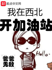 我在西北开加油站在线阅读
