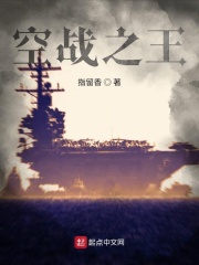 空战之王在线阅读