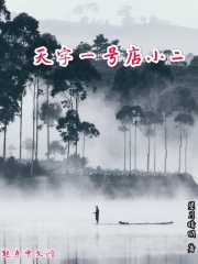 天字一号店小二在线阅读