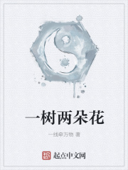 一树两朵花在线阅读