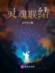 灵魂联结在线阅读