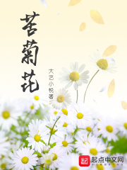 苦菊花在线阅读