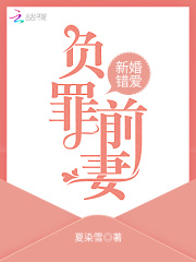 新婚错爱，负罪前妻